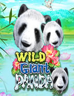 pg slot download: สูตรลับในการเพิ่มโอกาสชนะ